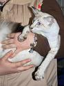 IMG_6388a