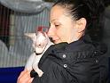IMG_6466a