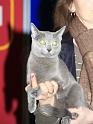 IMG_6514a