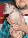 IMG_6581a