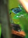 IMG_6665a