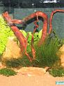 IMG_6709a