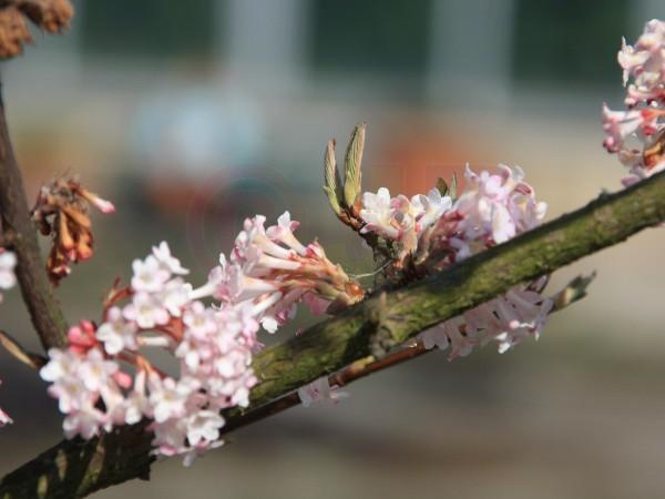 IMG_5580a.jpg