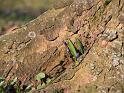 IMG_5406a