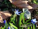IMG_5414a
