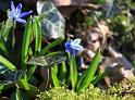 IMG_5417a