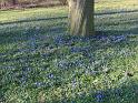 IMG_5433a