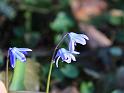 IMG_5456a