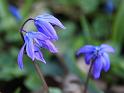 IMG_5461a