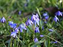 IMG_5462a