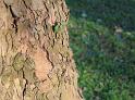 IMG_5469a