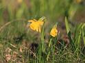 IMG_5470a
