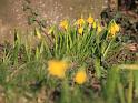 IMG_5472a