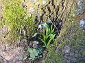 IMG_5483a