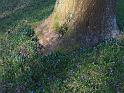 IMG_5486a