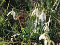 IMG_5497a