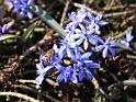 IMG_5518a