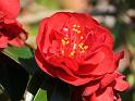 IMG_5548a