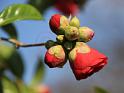 IMG_5551a