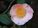 IMG_5565a