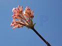 IMG_5571a