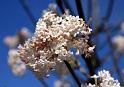 IMG_5576aaa