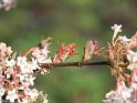 IMG_5577a