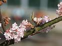 IMG_5580a