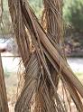 IMG_5605a