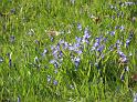 IMG_5608a