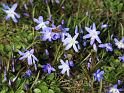 IMG_5616a