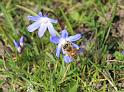 IMG_5619a