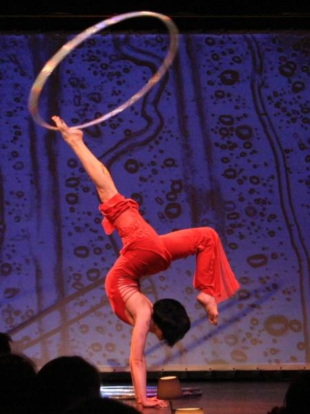D-4218-IMG_6238a.jpg