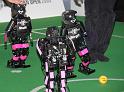 IMG_9354a