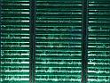 IMG_A515a