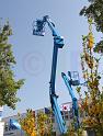 IMG_A559a