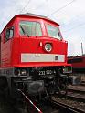 IMG_3931a