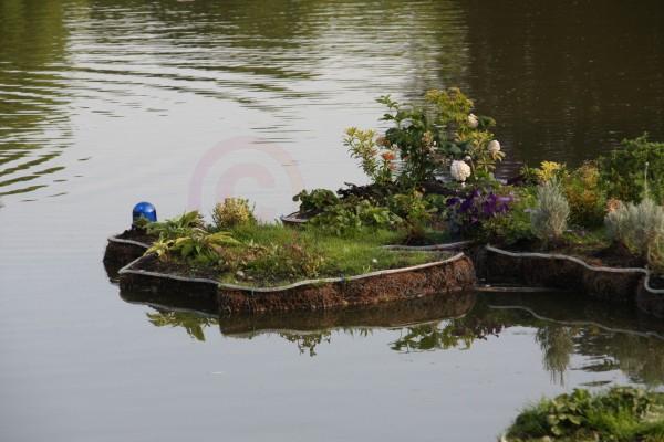 D-5093-IMG_7055-4.jpg
