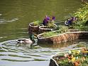 D-5086-IMG_7048-4a