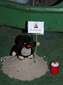 IMG_1589a