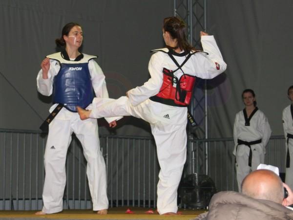 IMG_2424aa.jpg