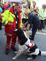 IMG_4341-4a