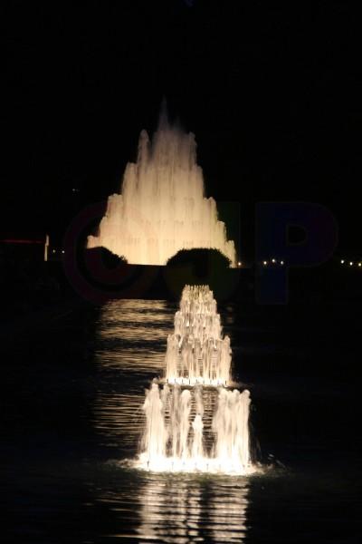 IMG_2956.jpg