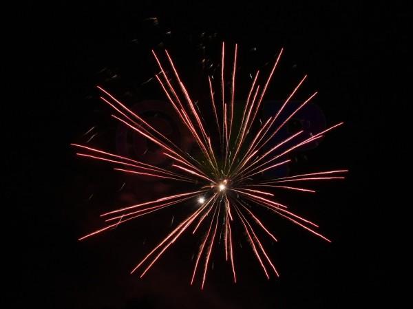 IMG_4194a.jpg