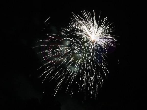 IMG_4231a.jpg