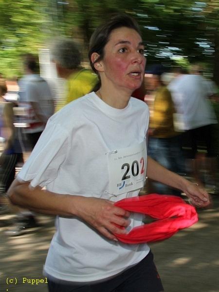 D-N1008-IMG_4682-5a.jpg