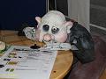 IMG_8316a