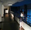 D-P2815-P6590251-8a