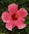 E-R5179-IMG_9071-5a