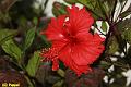 E-R5186-IMG_9078-5